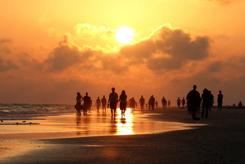 Awakening to the Wisdom of the Heart: Beyond Mind and Illusion.