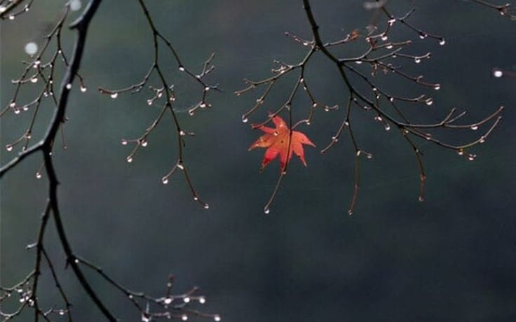 THE WEIGHT AND THE GIFT