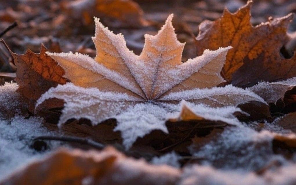 WHEN THE HEART CHANGES