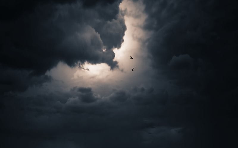 A BLESSING FOR THE DARK TIMES.