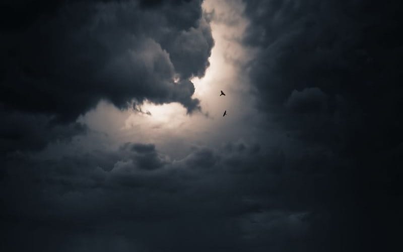 GUIDED MEDITATION ON COMING HOME TO ONESELF