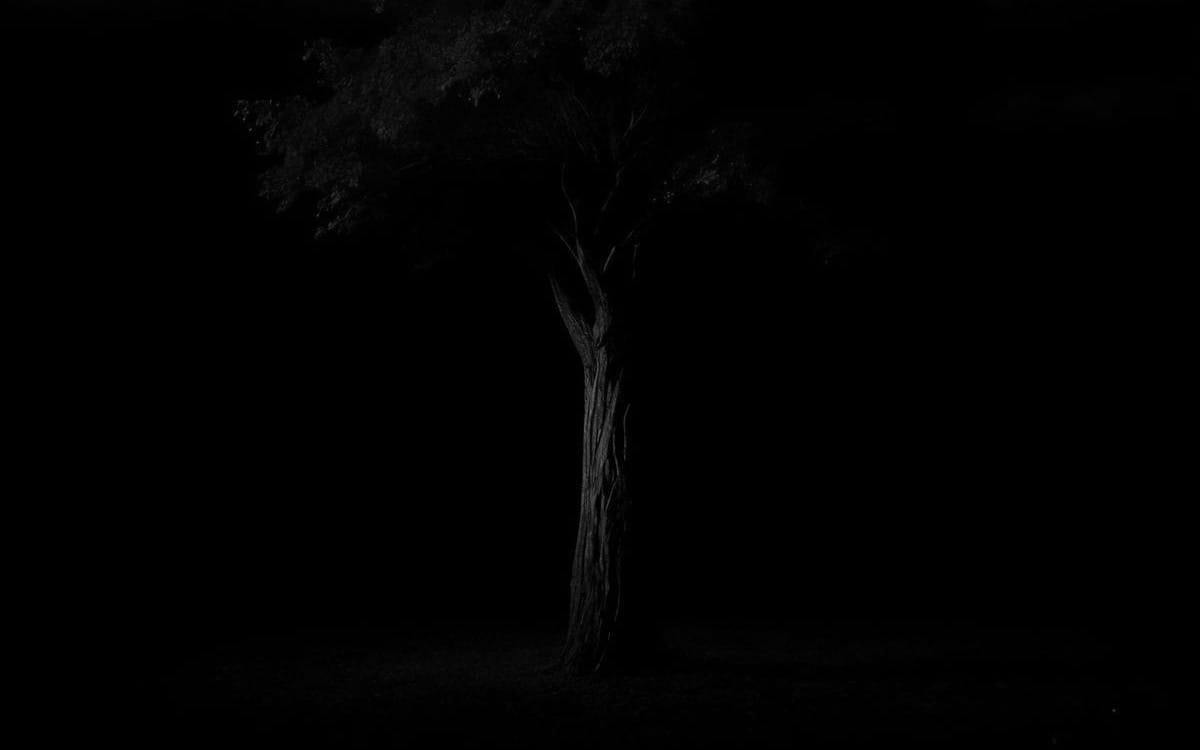 A Meditation — A Call to the Light