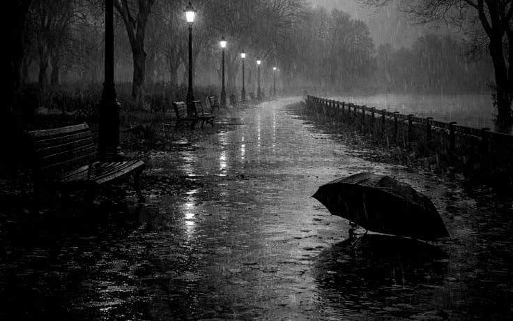 The Quiet Wound of Being Human.