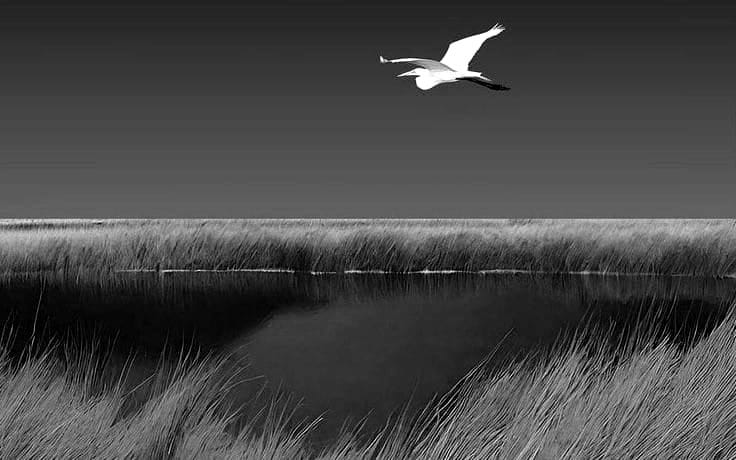 A Lament for the Children — and for Us