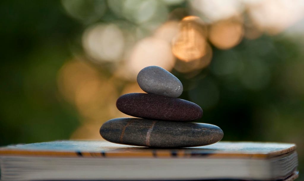 Morning Poem by Mary Oliver