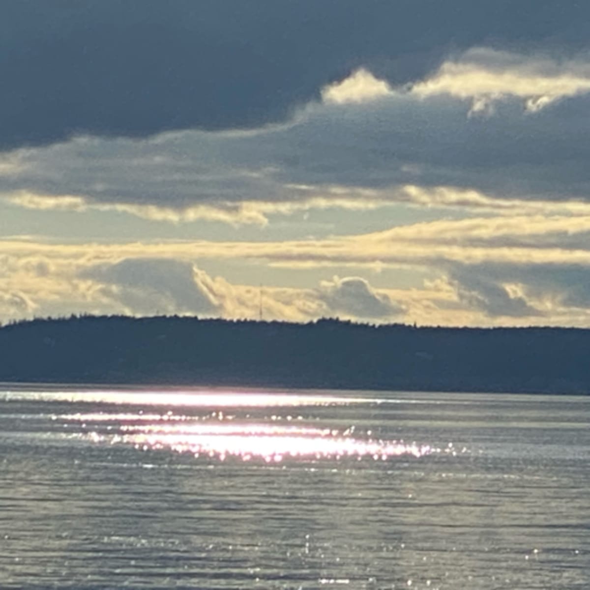 The Wisdom of the Heart