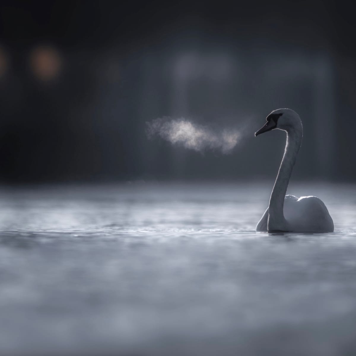 IN REMEMBERING THE INFINITE POSSIBILITIES