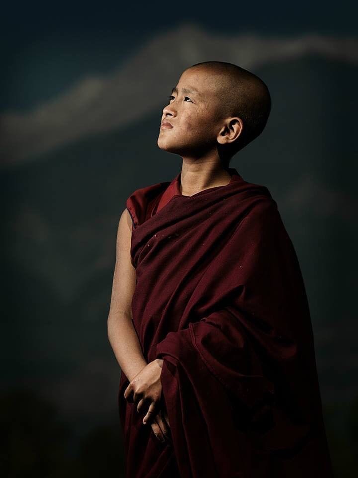 CONTEMPLATION