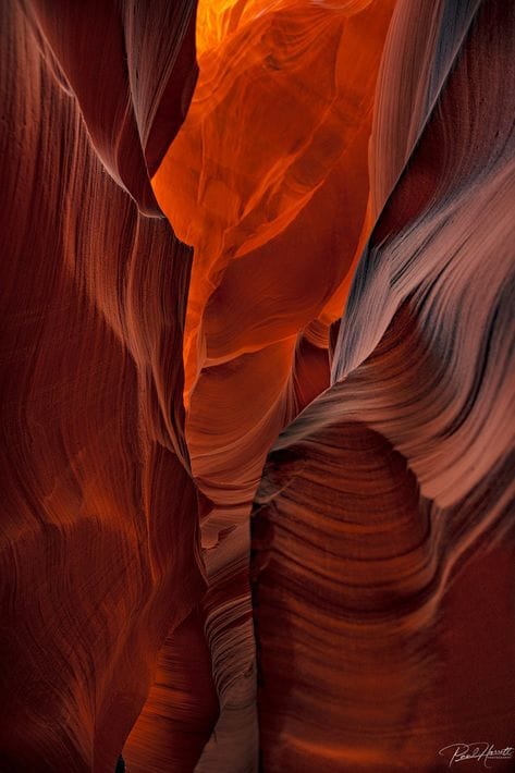ENERGY IN MOTION