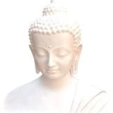 TEA AND ZEN