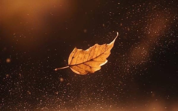 Meditation on The ONE Who Beats the Heart.