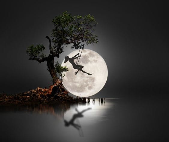 LOVE'S REFLECTIONS