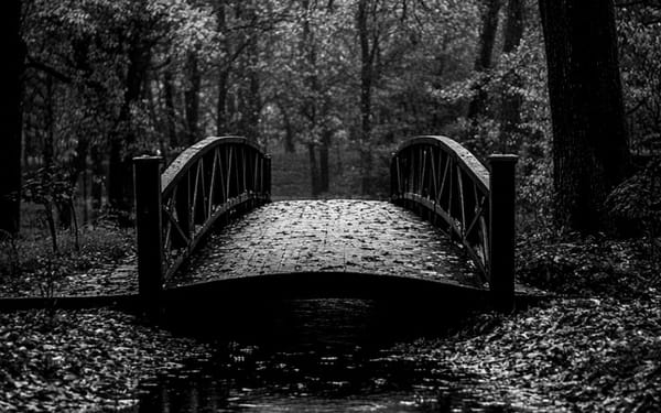 CO-OPERATION, COMPASSION AND THE FORWARD MOVEMENT OF CREATION