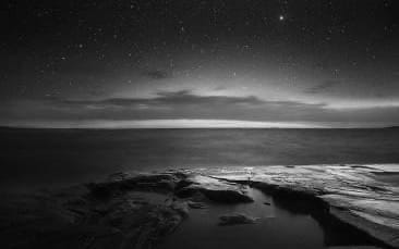 STAR DUST