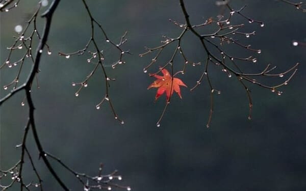 THE WEIGHT AND THE GIFT