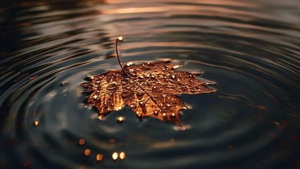 THE WEIGHT AND GIFT- Part II