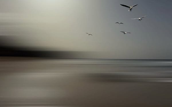 A COMPANION OF PRESENCE