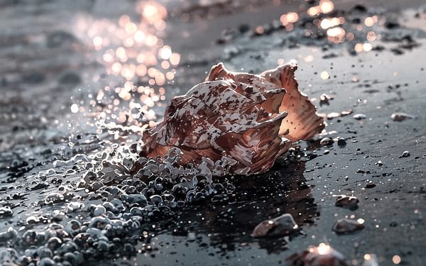 A LETTER TO THE TEA AND ZEN COMMUNITY