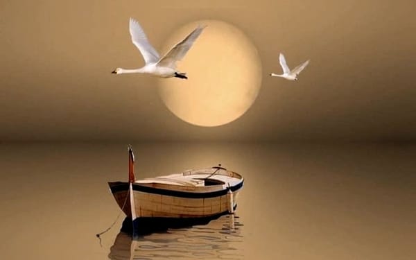 EMBODIMENT AFTER SURVIVAL