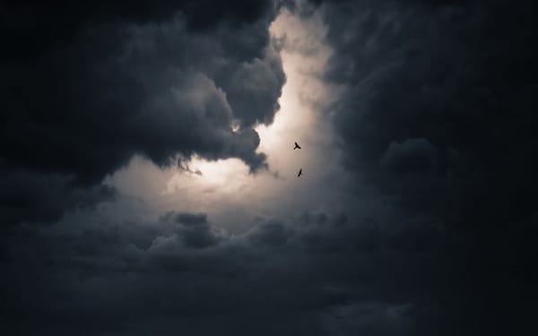 Meditation: The Practice of Letting Go