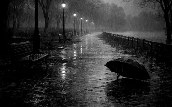 The Quiet Wound of Being Human.