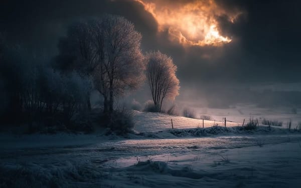 No Dumping: On Pain, Responsibility, and the Field We Share