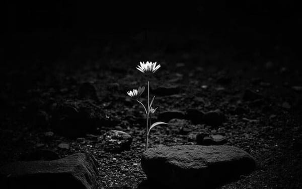 Lay Down Your Burden