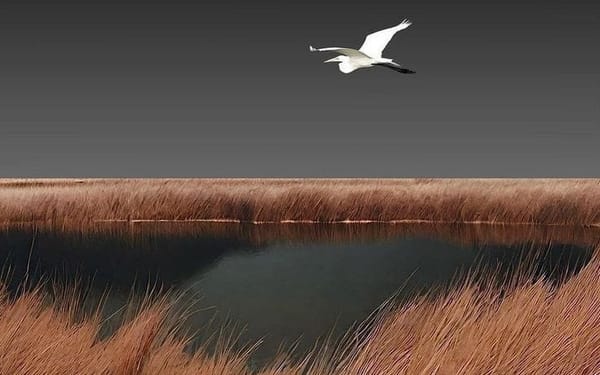 A Lament for the Children — and for Us