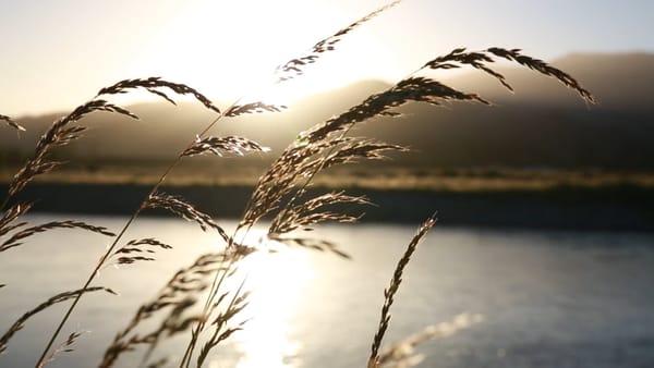 CONTEMPLATION ON SILENCE