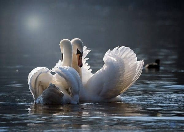 GRACE IN EVERY MOMENT