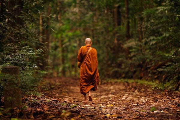 THE RIPPLE EFFECT XLIV