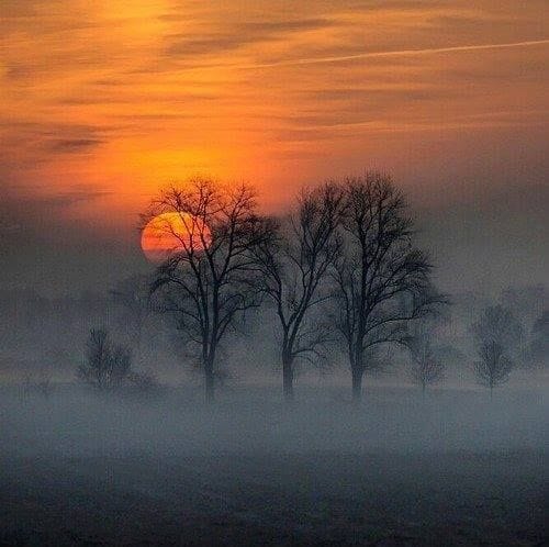 SOLAR GRATITUDE