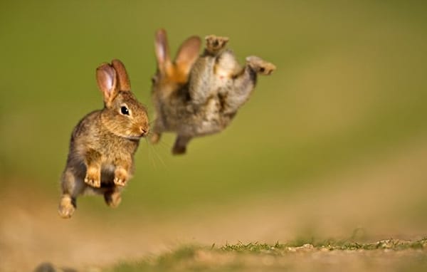 GIVE IN TO JOY