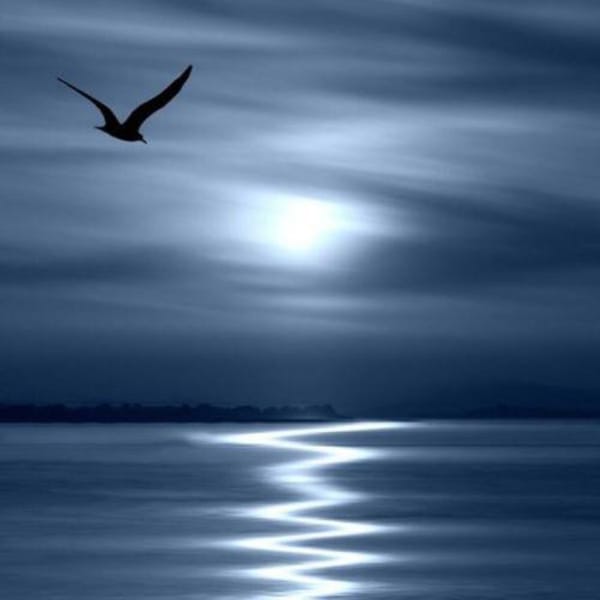 HOPE SPRINGS ETERNAL