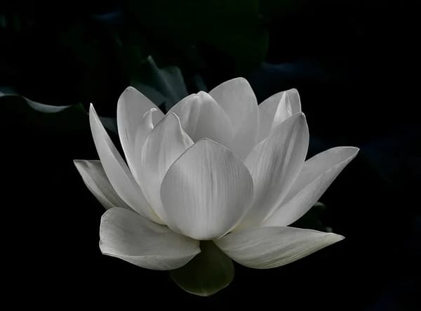 MAY YOU BE AT PEACE