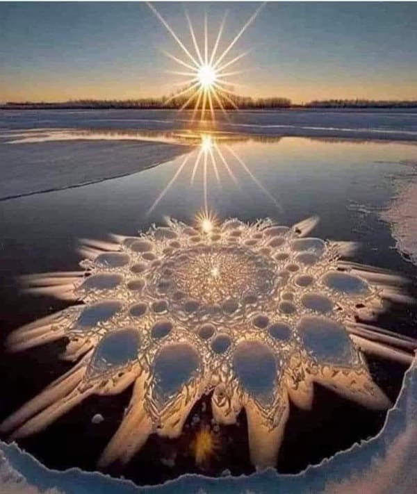 THE SCENT OF LIGHT