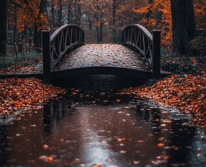 The Sacred Balance: Truth, Boundaries, and LOVE.