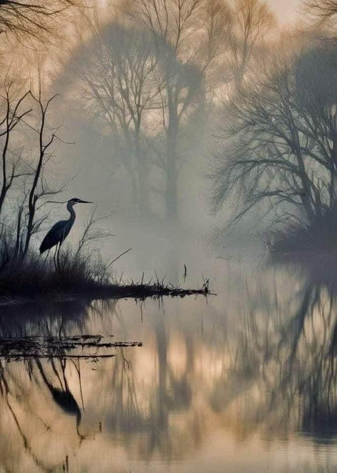 The Peace Of Wild Things
