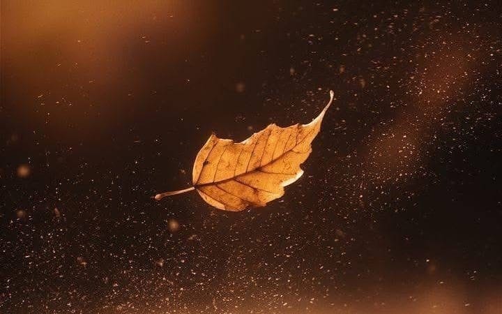Meditation on The ONE Who Beats the Heart.
