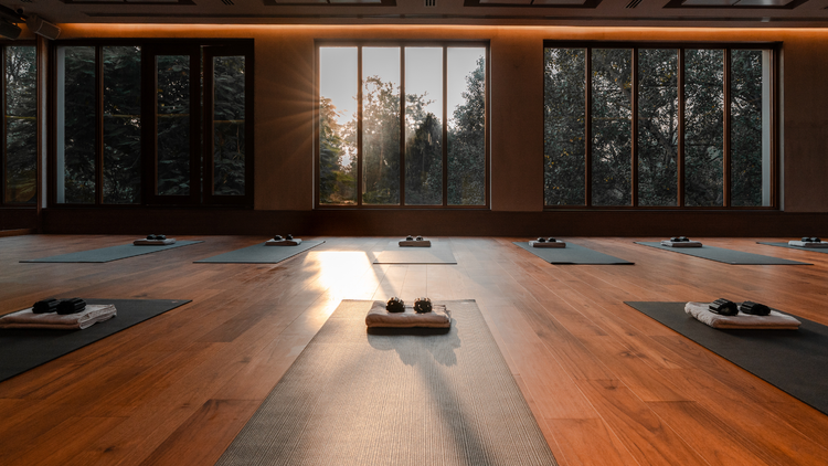 Meditation on Letting Go of Grief