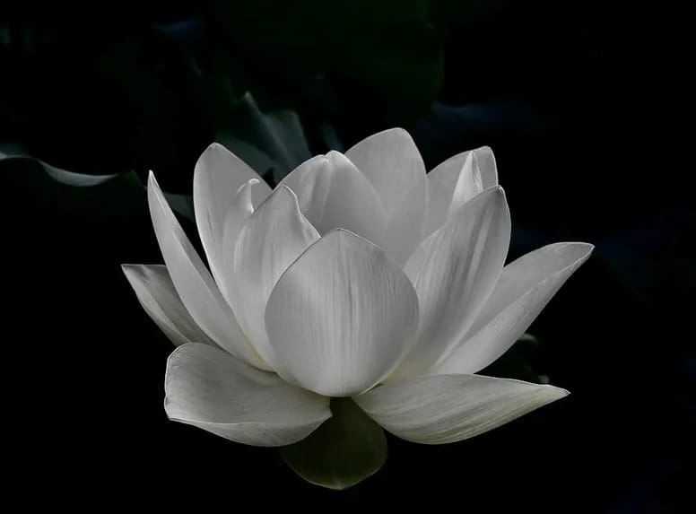 MAY YOU BE AT PEACE